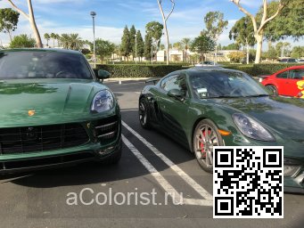 Porsche | MACAN (95B) | 21D/21A, M6A, LM6A - BRITISH RACING GREEN (СОЛИД) 3