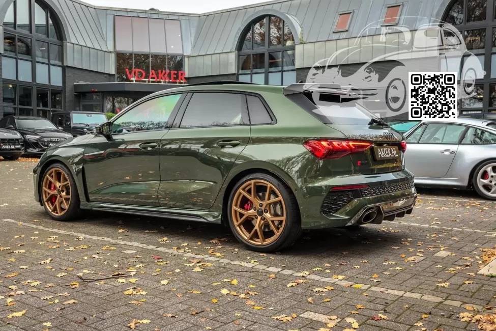 Audi | A3, A3 Sportback IV (8Y) | 22L, N9, 265, Y4, 6OK - OAK GREEN, OAKGRUEN, OAKGRÜN (PORSCHE) 1