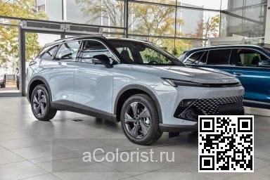 X55 | GAR, NDK - LIGHT GRAY METALLIC 2