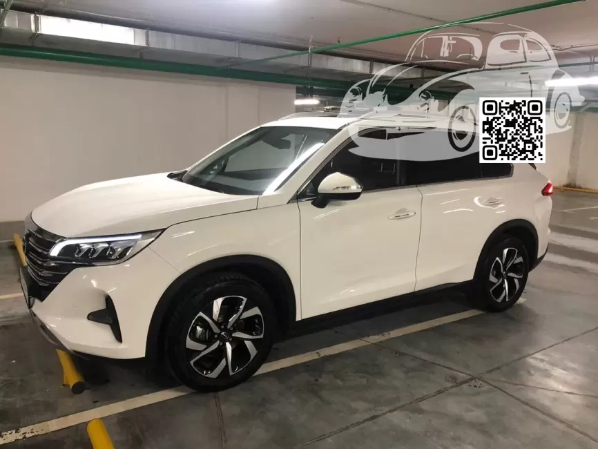 Gac | GS5 | A09, WB9 - SNOW WHITE, IVORY WHITE (СОЛИД) 1