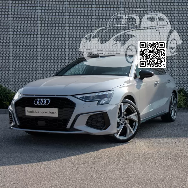 Audi | A3, A3 Sportback IV (8Y) | 7004, R704, RAL 7004-GL - SIGNAL GRAU, SIGNALGRAU (СОЛИД) 0