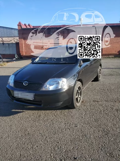 Toyota | ALLEX, COROLLA RUNX | 205 - SATIN BLACK 0