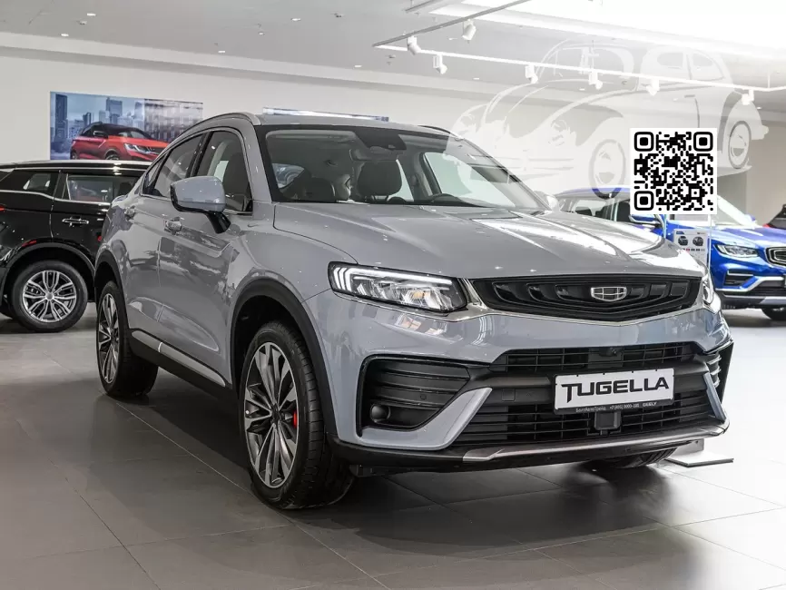 Geely | TUGELLA (FY11) | C20 - THE SKY GRAY (с 2022) 0