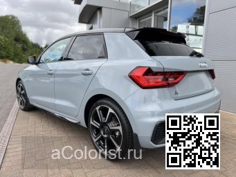 LZ7W, Z7W, 1X, 1X1X - AVIATOR GRAY PEARL, PFEILGRAU, PFEILGRAU PERLEFFEKT 1