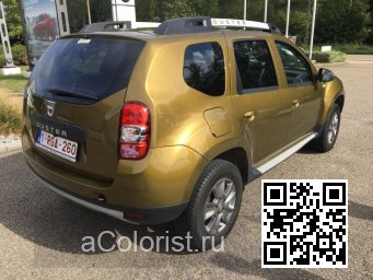 Renault | DUSTER | DPC - VERT ALTAI, PENNINE GREEN (DACIA) 4