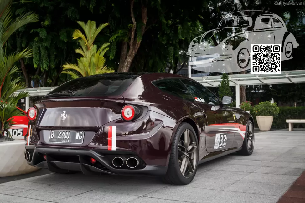 Ferrari | FF | 390, 80752300 - VINACCIA (СОЛИД) 1