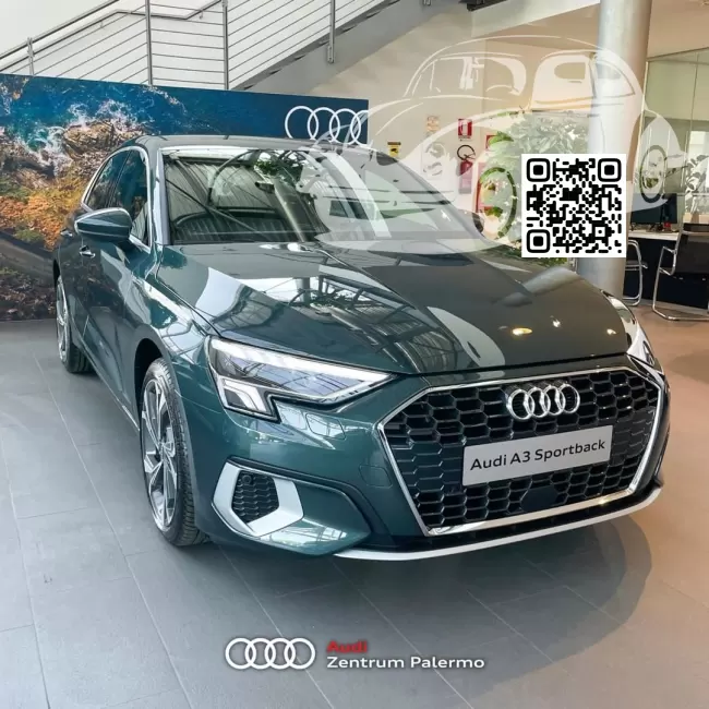 Audi | A3, A3 Sportback IV (8Y) | X6T, LX6T, 9S, 9S9S - CAMOUFLAGE GREEN, CAMOUFLAGEGRUEN, VERDE CAMOUFLAGE/VERDE HEBE 0