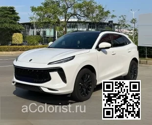 Forthing | T5 EVO, DFSK FORTHING 5 | BLANCO 0