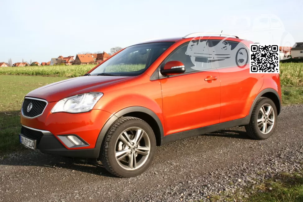 SsangYong | ACTYON | RAF - VITAMIN RED 0