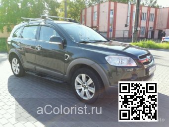 Chevrolet | CAPTIVA | 439N, 91U - OAK GREEN 2