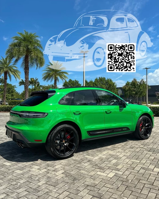Porsche | MACAN (95B) | 3I, M6C, LM6C, 3I3I - PYTHON GREEN, PYTHONGRUEN, VERT PYTHON (СОЛИД) (с 2021) 1