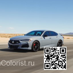 TLX 2 | NH912P - URBAN GRAY, URBAN GRAY PEARL, SLATE GRAY PEARL (с 2023) 3