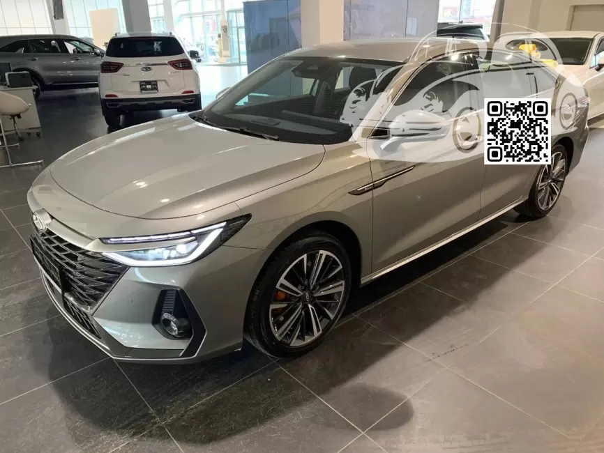 Arrizo 8 | СЕРЕБРИСТЫЙ СЕРЫЙ 0