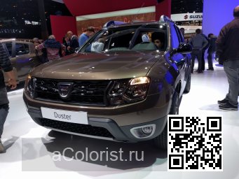 Renault | DUSTER | CNM - BRUN VISON, MINK BROWN, BRUN VISION, VISON RUSKEA, QUARZIT-BRAUN (DACIA) 1
