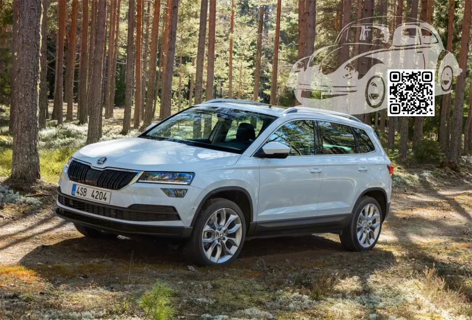 Skoda | KAROQ | LS9R, 2Y, 2Y2Y - MOON WHITE, BILA MOON, BLANC LUNE, MOON WEISS 0