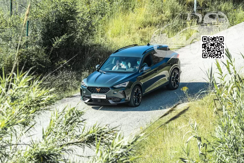 Cupra | FORMENTOR | X6T, LX6T, 9S, 9S9S - DARK CAMOUFLAGE, CAMOUFLAGEGRUEN, CAMOUFLAGE GREEN (с 2020) 1