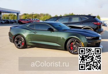 Chevrolet | CAMARO 6 | GJ0, 624D - STINGER, EVERGREEN, RALLY GREEN (с 2020) 2