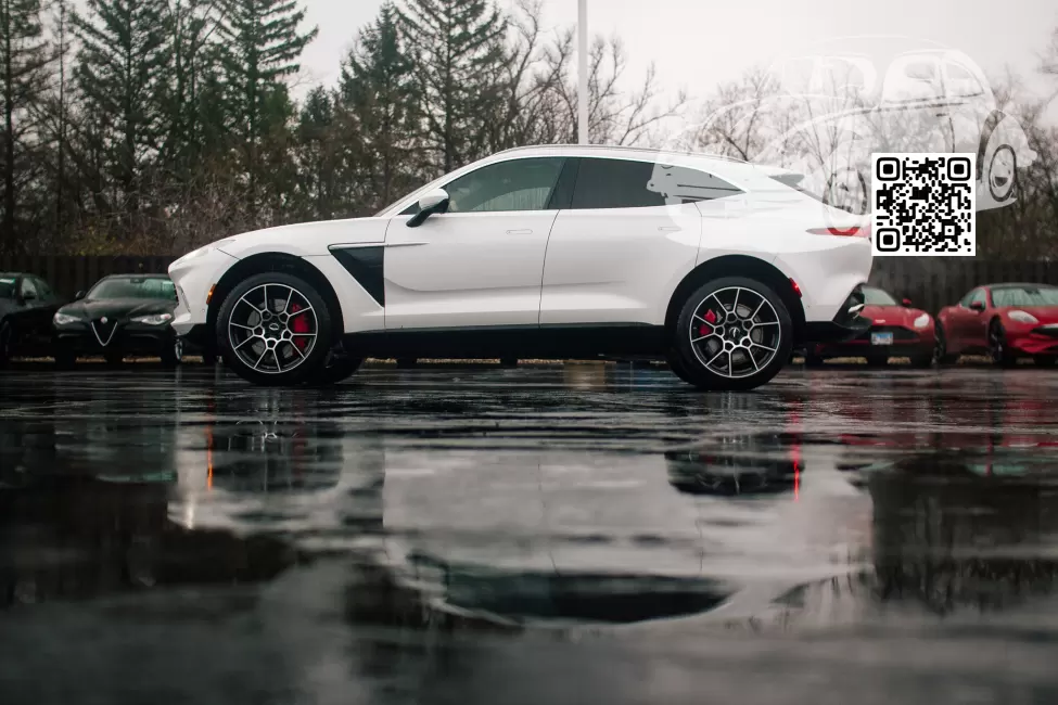 Aston Martin | DBX (AM8) | AM1251 - LUNAR WHITE (СОЛИД) 1