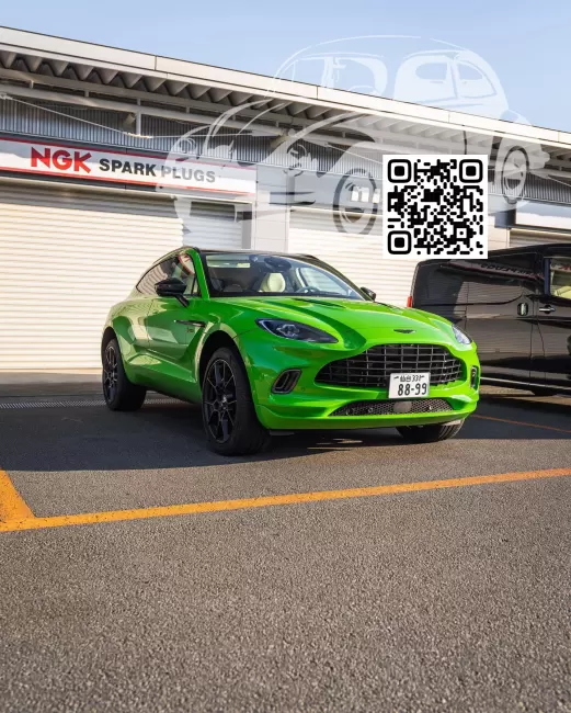 Aston Martin | DBX (AM8) | AST5095D - KERMIT GREEN (СОЛИД) (Q Palette) 0