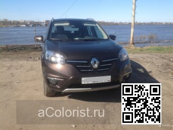 Renault | KOLEOS | CXA - EBONY BROWN 1