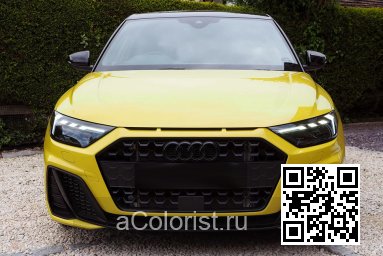 X1X, LX1X, R1, R1R1, R1H1, R10E - PYTHON YELLOW, PYTHONGELB, JAUNE PYTHON 1