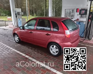 Lada | KALINA (1117, 1118, 1119) | 165 - БРУСНИКА 3