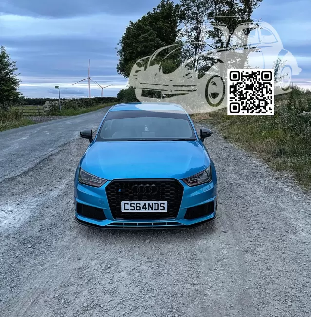 A1, S1 (8X) | D5W, LD5W - MALIBU BLUE, MALIBUBLAU (VOLKSWAGEN) 0