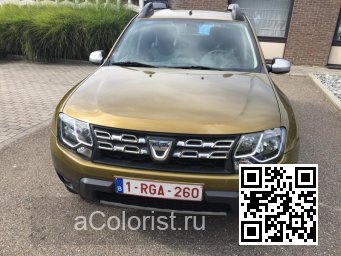 Renault | DUSTER | DPC - VERT ALTAI, PENNINE GREEN (DACIA) 0
