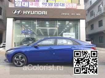 Hyundai | ELANTRA, AVANTE 7 (CN7) | YP5 - INTENSE BLUE 2