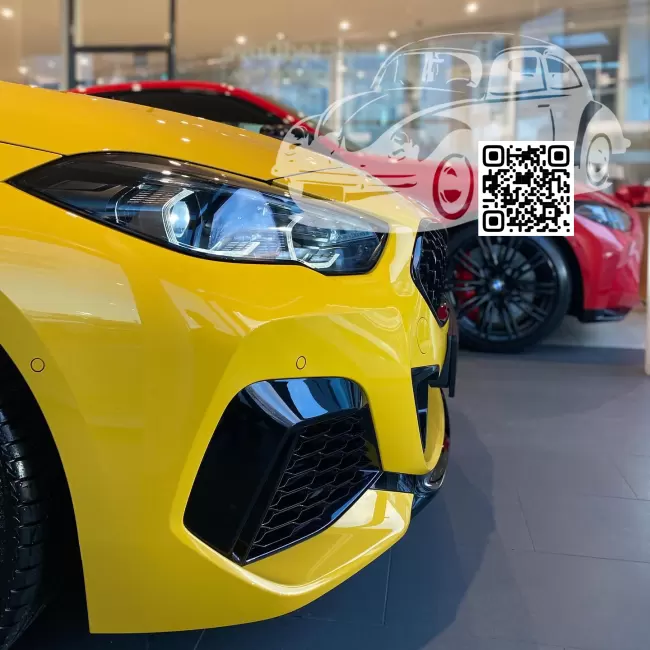 BMW | 2 Series Gran Coupe (F44) | U96, 12H, 12G, X4 - SPEED YELLOW, SPEEDGELB (СОЛИД) (Porsche color) 0