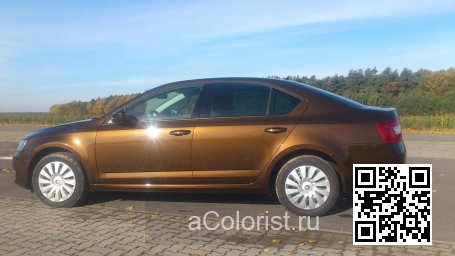 Skoda | OCTAVIA 3 (5E, A7) | 9896, LF8Y, F8Y - HNEDA AMBER, AMBER BRAUN, AMBER BROWN 2