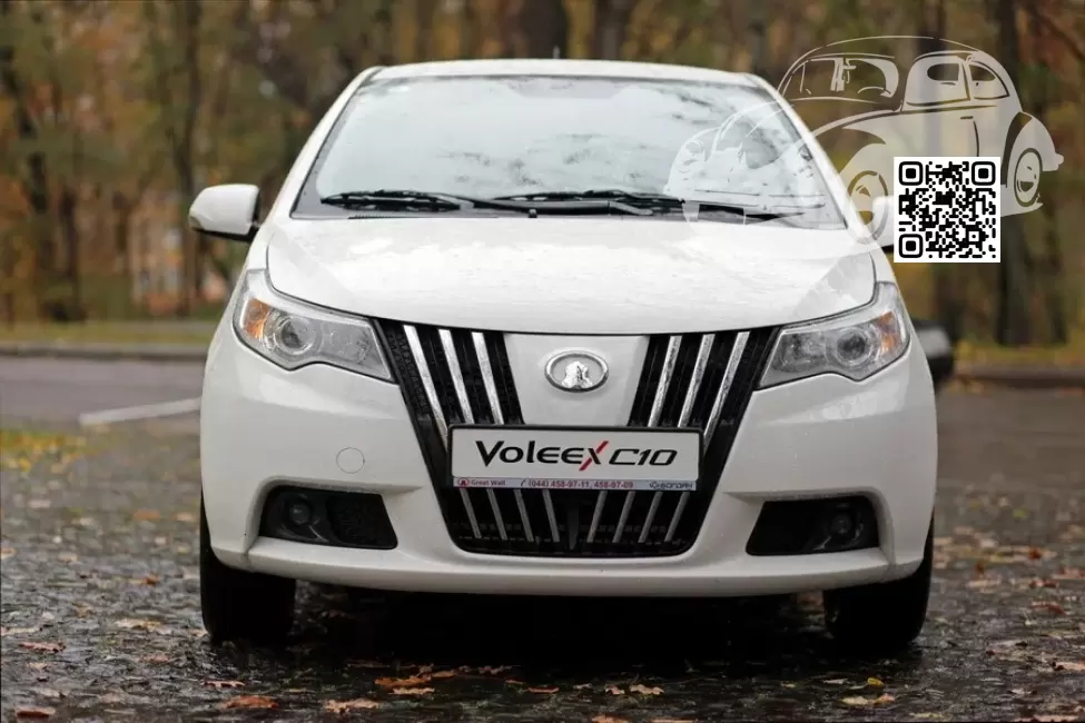 GreatWall | VOLEEX C10 | GW1011, 0904C, 0904E, 94 - TITANIUM WHITE (СОЛИД) 1