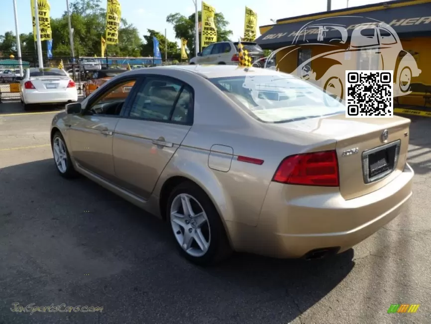 TL (UA6-UA7) | YR538M - DESERT MIST (2004-2007) 1