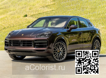 Porsche | CAYENNE 3 (9Y0, 9YA, 9Y3, PO536) | Y8, M8Y, LM8Y, Y8Y8 - MAHAGONI, MAHOGANY 0