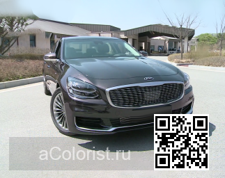 Kia | K9, K900 (RJ) | MSL - MARSALA 0