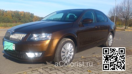 Skoda | OCTAVIA 3 (5E, A7) | 9896, LF8Y, F8Y - HNEDA AMBER, AMBER BRAUN, AMBER BROWN 0