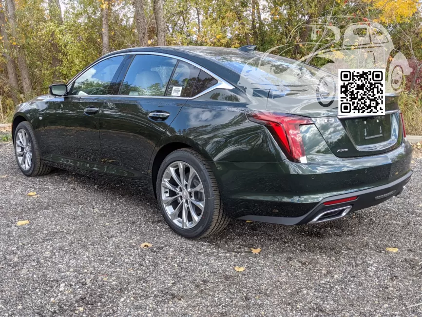 Cadillac | CT5 | GJ0, 624D - STINGER, RALLY GREEN, EVERGREEN (с 2020) 1