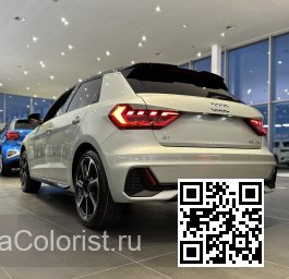 LX7E, X7E, N8, N8N8 - DEW SILVER, TAUSILBER, PLATA ROCIO (с 2022) 4