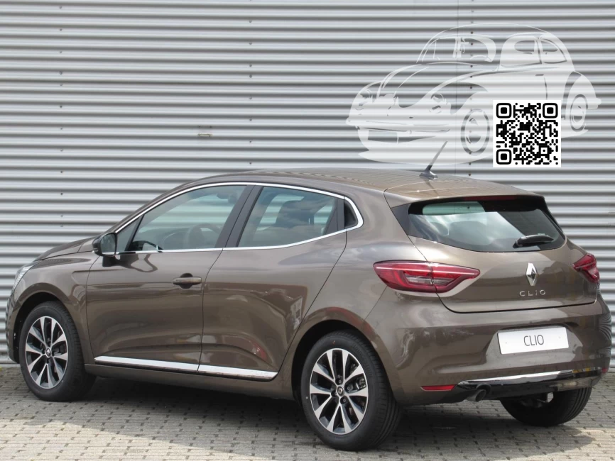 Renault | CLIO 5 (BJA, BF) | CNM - BRUN VISON, MINK BROWN, BRUN VISION, VISON RUSKEA, QUARZIT-BRAUN 1