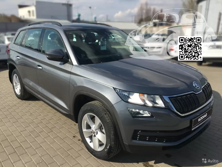 Skoda | KODIAQ (NS7) | LD7X, 2R, D7X, 2R2R - PLATINUM GRAY, PLATINUM GRAU (с 2018) 0