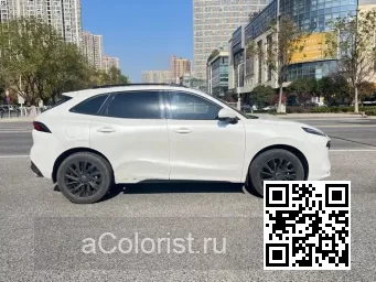 Forthing | T5 EVO, DFSK FORTHING 5 | BLANCO 1