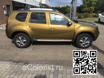 Renault | DUSTER | DPC - VERT ALTAI, PENNINE GREEN (DACIA) 1
