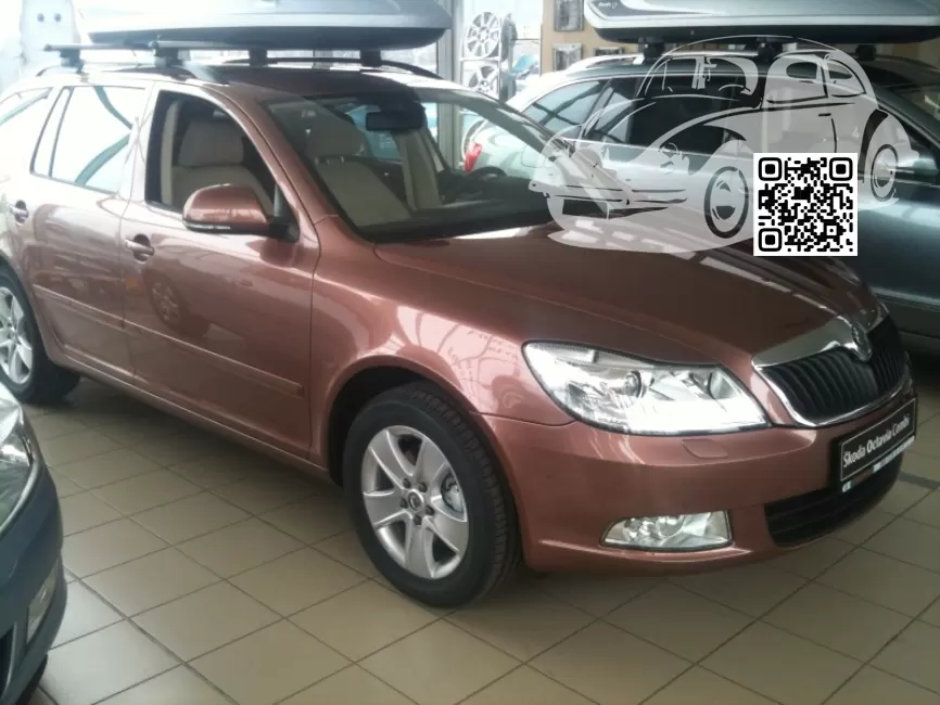 Skoda | OCTAVIA 2 (1Z, A5) | 9390, F3Q, LF3Q - CERVENA ROSE, ROSE RED, HEARBEAT, ROSE ROT 0