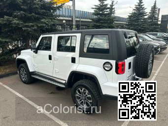 BJ40 | CAT - БЕЛЫЙ МЕТАЛЛИК 2