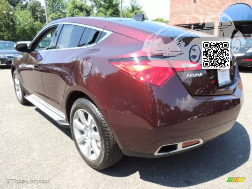 ZDX | R529P - DARK CHERRY 1