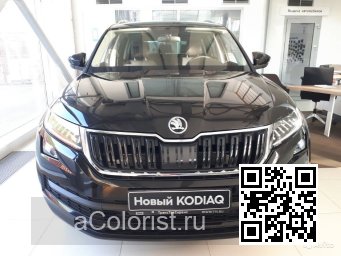 Skoda | KODIAQ (NS7) | LF9R, 1Z, F9R, 1Z1Z, 9910 - BLACK MAGIC, CERNA MAGIC, NOIR MAGIC 1