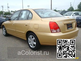 Hyundai | ELANTRA 3 (XD) | UE - GOLD SAVOR HAZELNUT, HAZELNUT 1