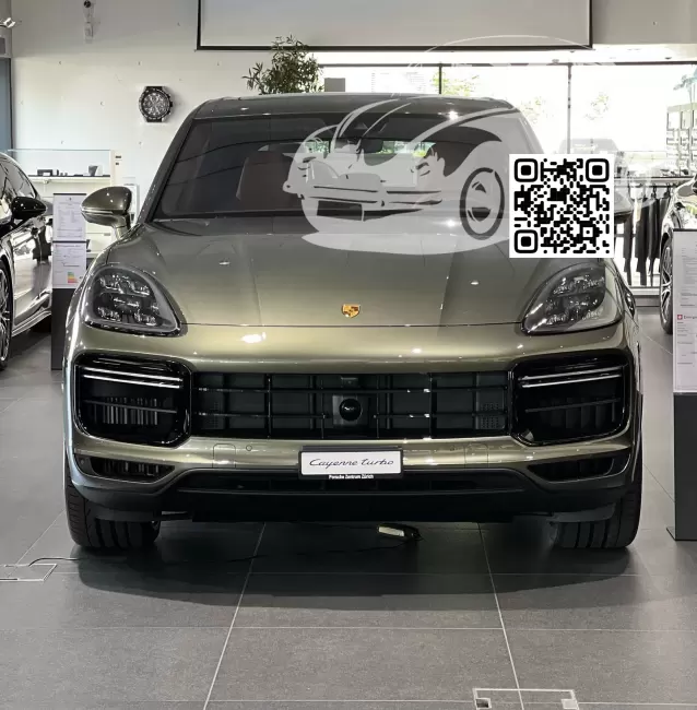 Porsche | CAYENNE 3 (9Y0, 9YA, 9Y3, PO536) | Q82 - OAK GREEN, OAKGRUEN, OAKGRUN, LIGHT OAK GREEN (Audi colors) 0