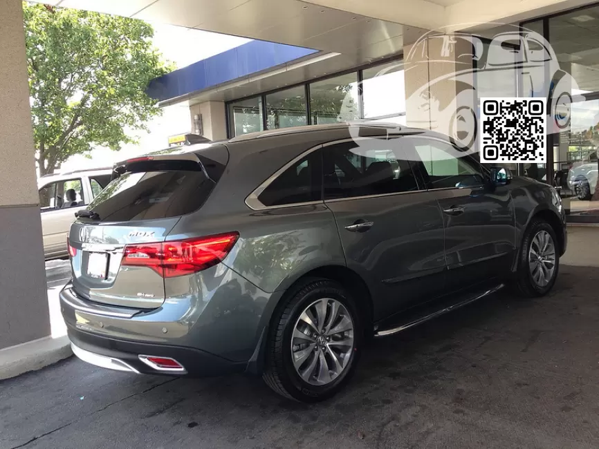 MDX (YD3) | G537M - FOREST MIST 1