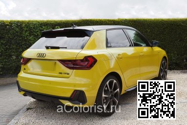 X1X, LX1X, R1, R1R1, R1H1, R10E - PYTHON YELLOW, PYTHONGELB, JAUNE PYTHON 4